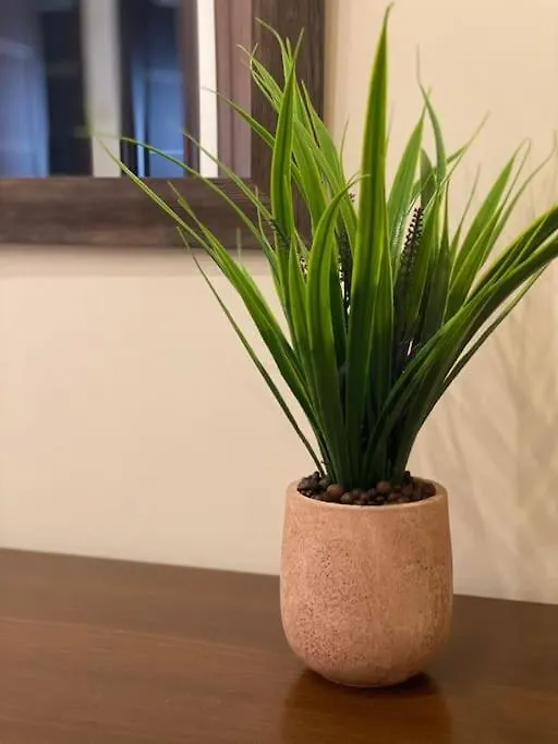 Apartmán Central Garden Boutique Soluň
